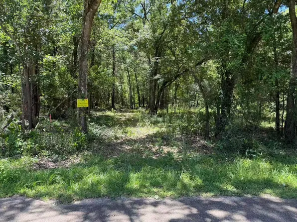 24820 Marks Rd, Splendora, TX 77372