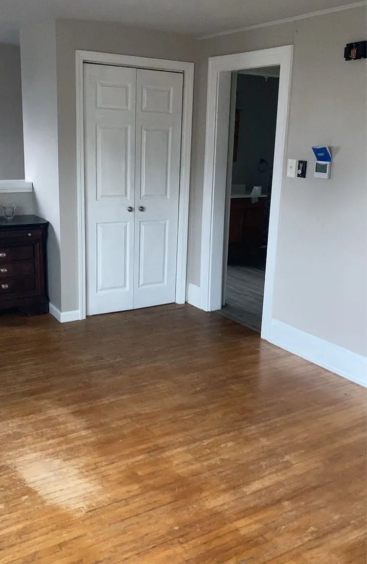 1 bed, $1,200 — Photo 3