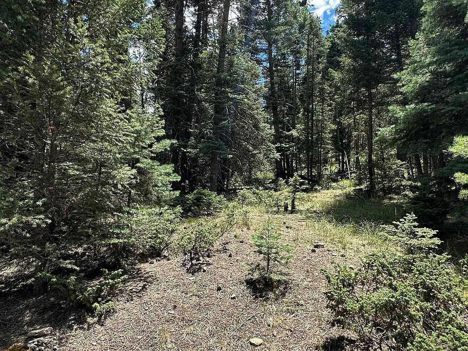 LOT 1655 El Vado Way, Angel Fire, NM 87710 MLS 110628 Zillow