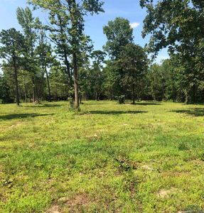 Walkers Mill Rd, Hallsville, TX, 75650