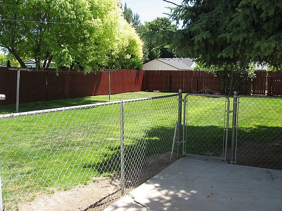 Fenced back yard