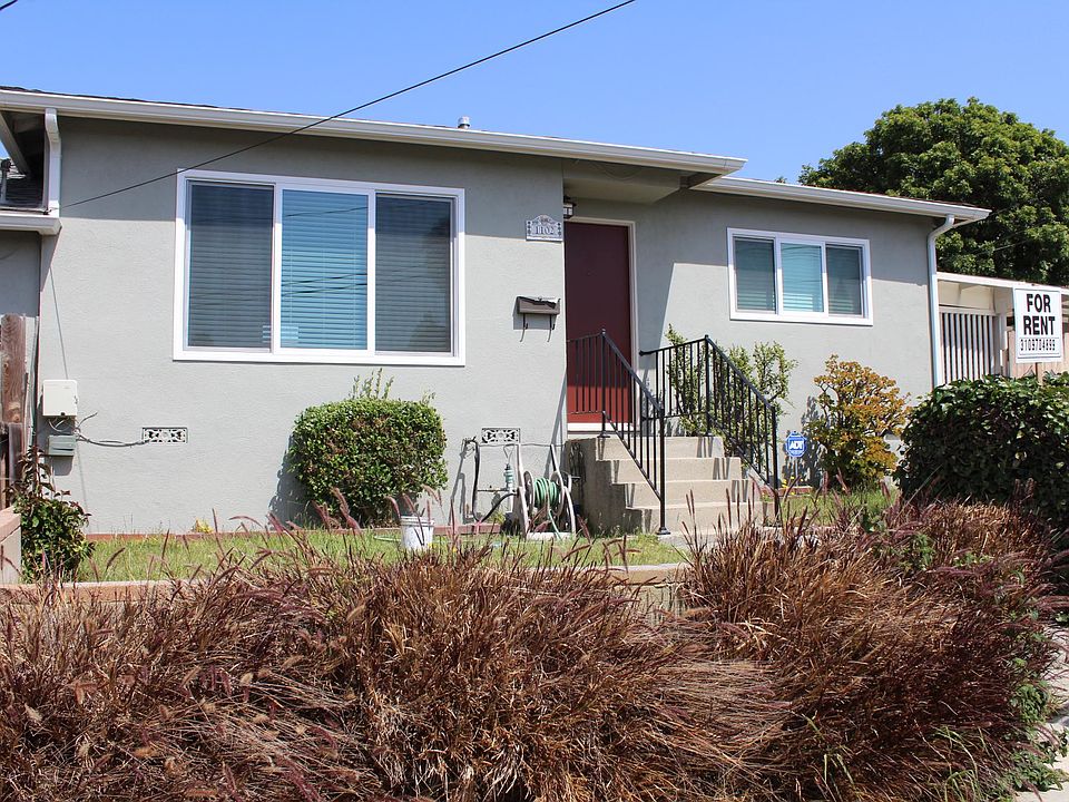 Front Yard & Entrance