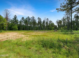 Cane Creek Rd LOT 2, Flora, MS 39071