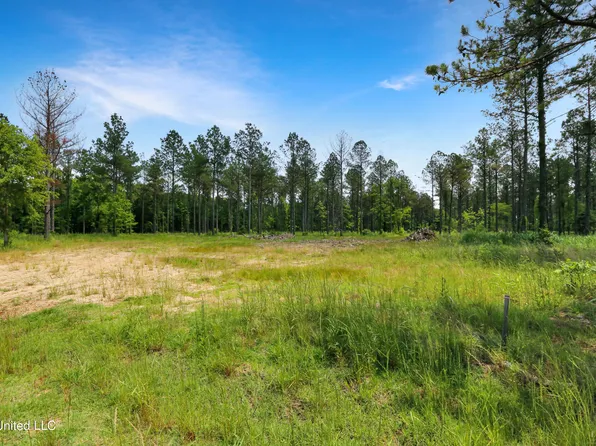 Cane Creek Rd Lot 2, Flora, MS 39071