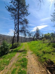 519 E Little Ridge Rd, Berry Creek, CA, 95916