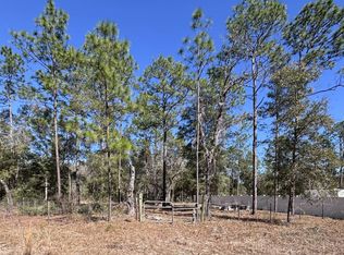 NE 3rd Pl, Williston, FL 32696