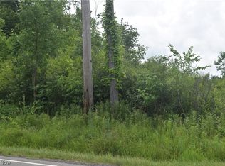 Plank Rd, Thompson, OH 44086