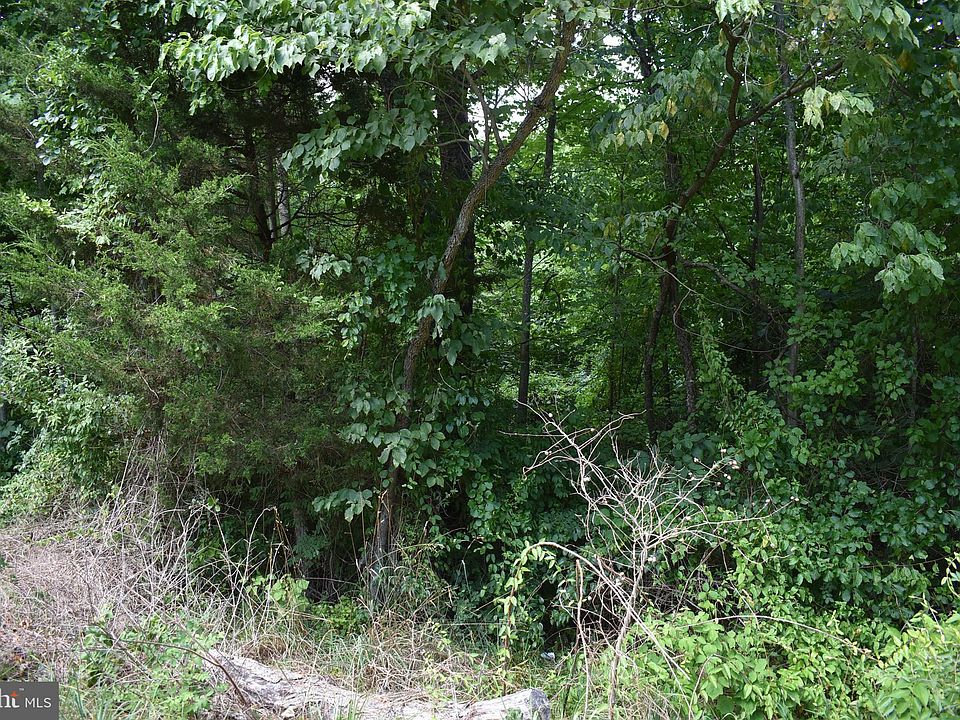 2nd image of McKees Gap Rd Lot 8