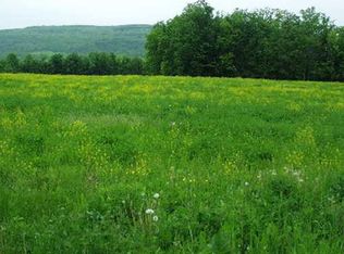 McKinney Rd, Amsterdam, NY 12010