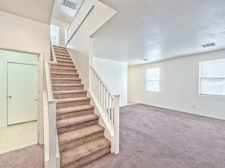 4222 Spruce Fern Ln — Photo 11