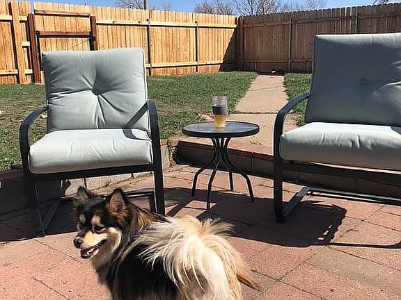 Patio and fenced yard