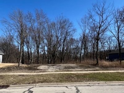 25401 S Copper Leaf Dr, Channahon, IL, 60410
