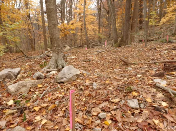 Dogwood Ln, Riegelsville, PA 18077