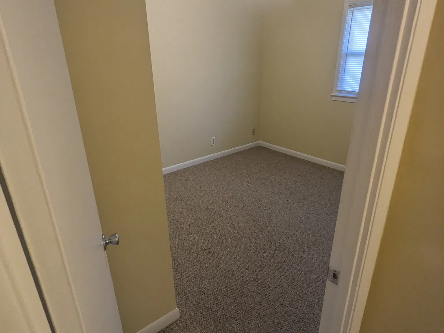3 bed, 900 sqft, $1,450 — Photo 4