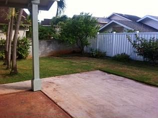 Back yard