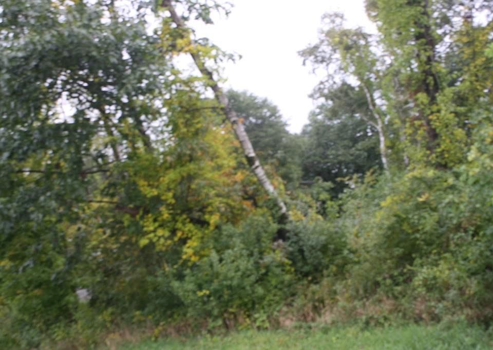 2nd image of 2 Mount Hermon Station Rd