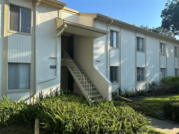 207 Palmetto Ct, Oldsmar, FL