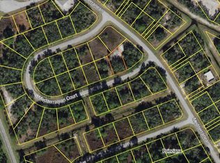 Mediterranean Ct LOT 2, Kissimmee, FL 34759