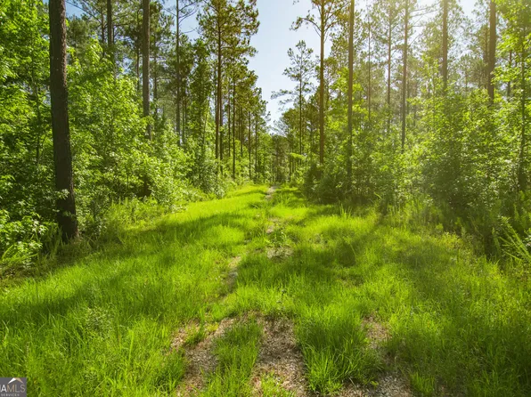 0 Weaver Jones Rd, Rutledge, GA 30663