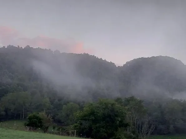 160 Peaceful Valley Rd, Cleveland, VA 24225