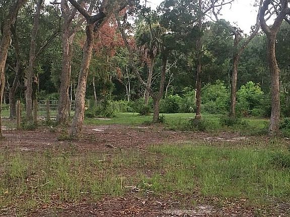 Two palms on this property 