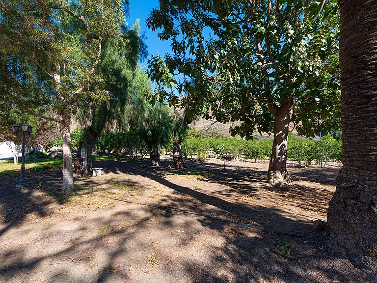1057 E La Loma Ave — Photo 61