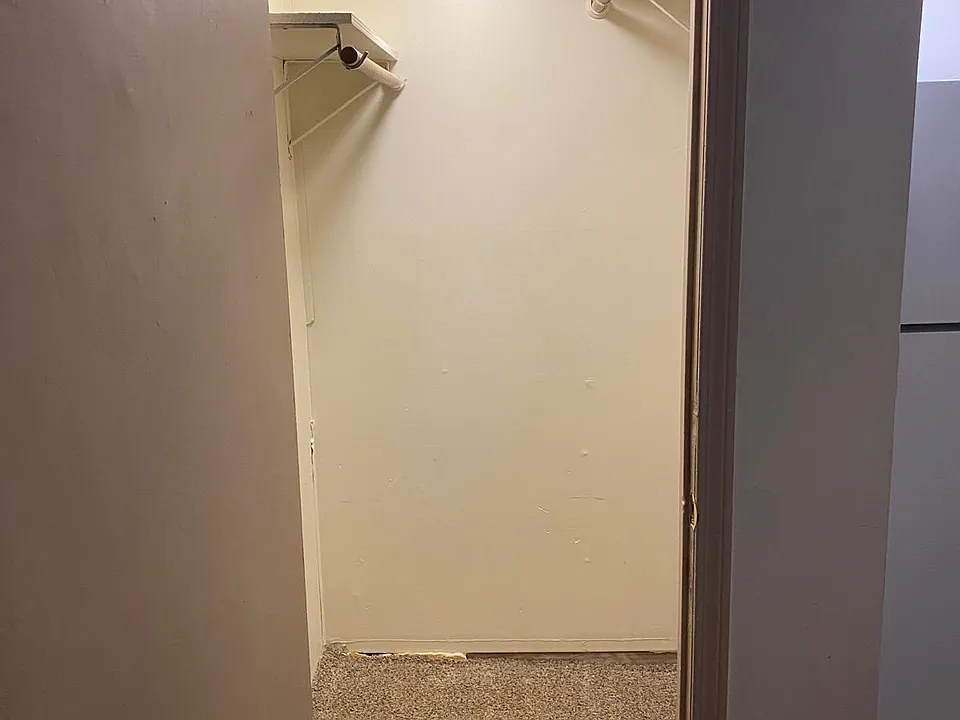 Spacious walk-in closet/storage area with shelving and hanging space _ especially useful storage for this approximately 500 sq. ft. apartment.