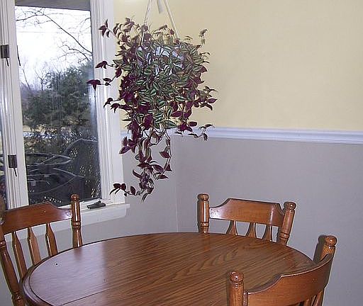 3rd image of 64541 Orchard Dr