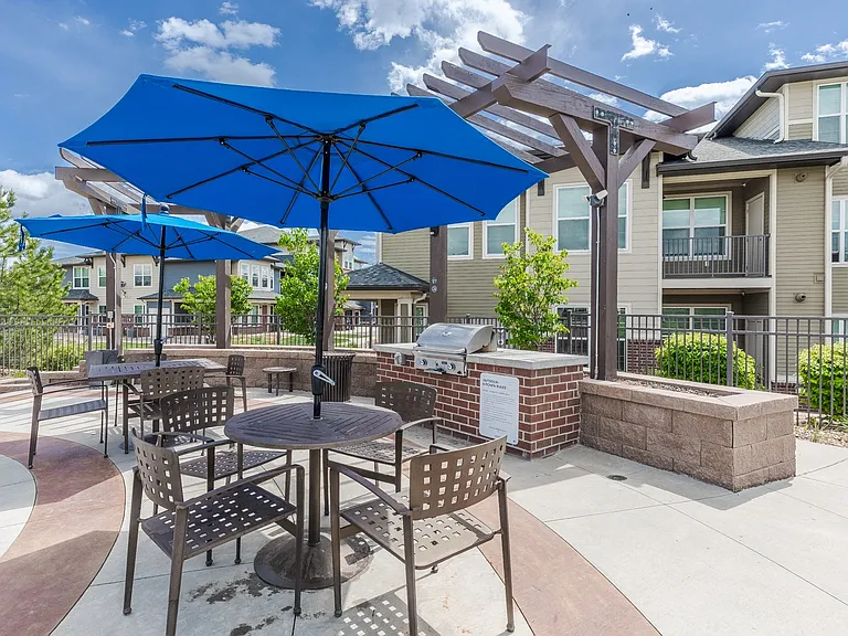 Outdoor Grills