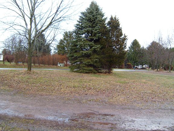 3rd image of 261 Chestnut Dr N