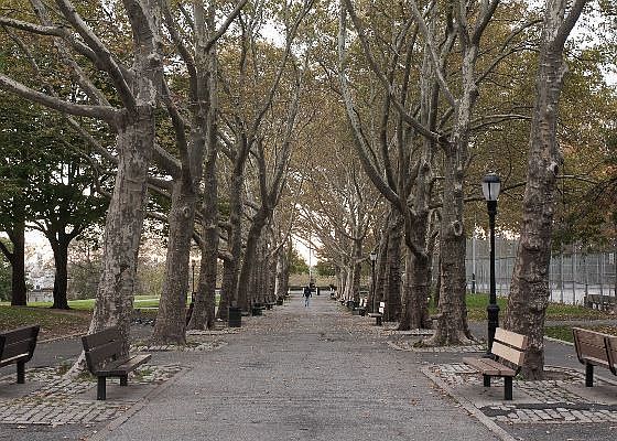 Sunset Park