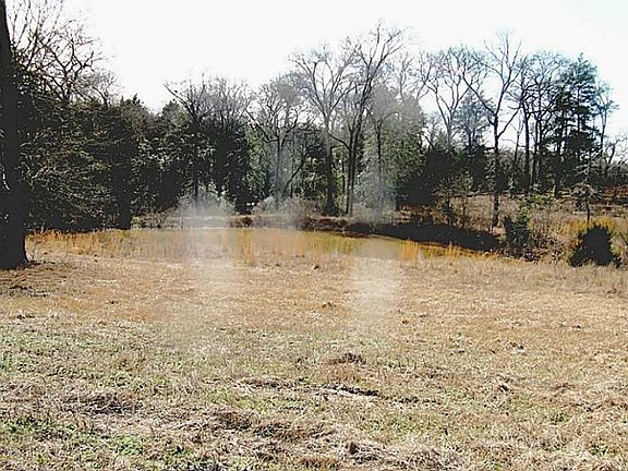 Pond in the front pasture.