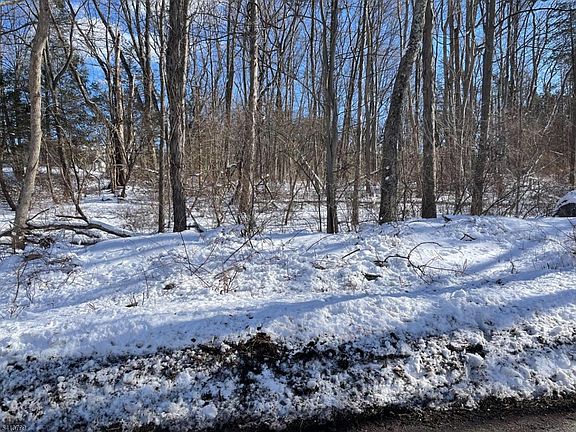 2nd image of 0 Potters Rd