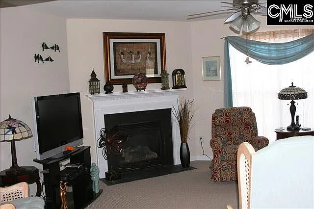 429 White Cedar Dr — Photo 8