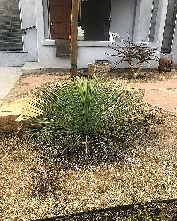 1st image of 4150 Garden Ave