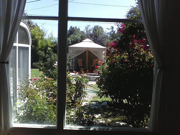 View of Backyard from Living Room