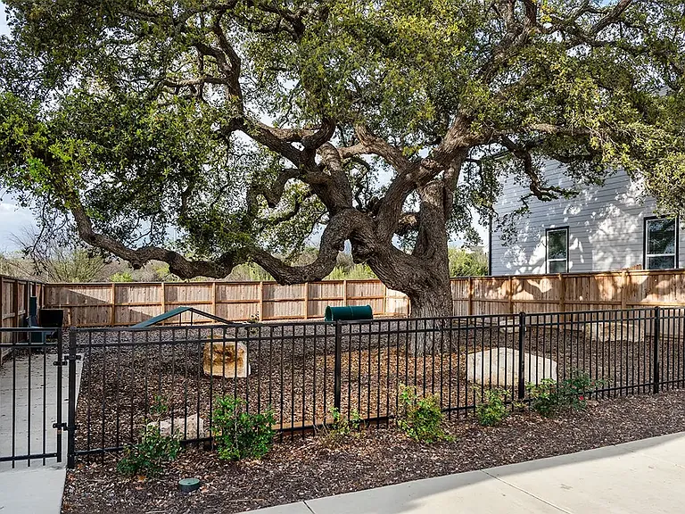 Community Dog Park