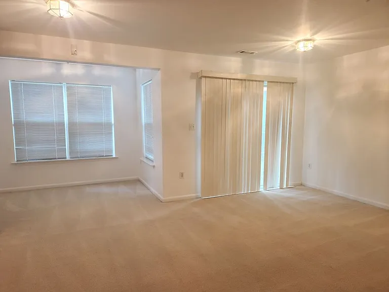 114 Emory Woods Ct — Photo 8