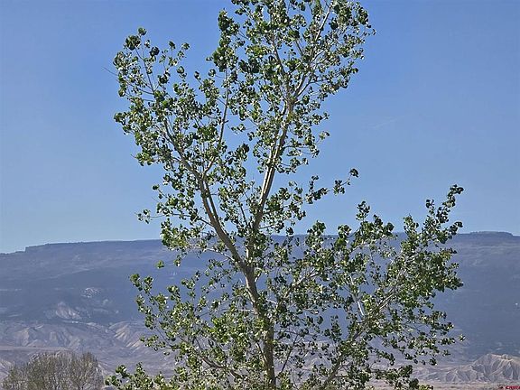 4th image of 21026 Pleasant Valley Road