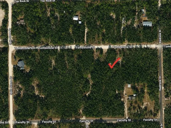 33240 Tombstone St, Webster, FL 33597