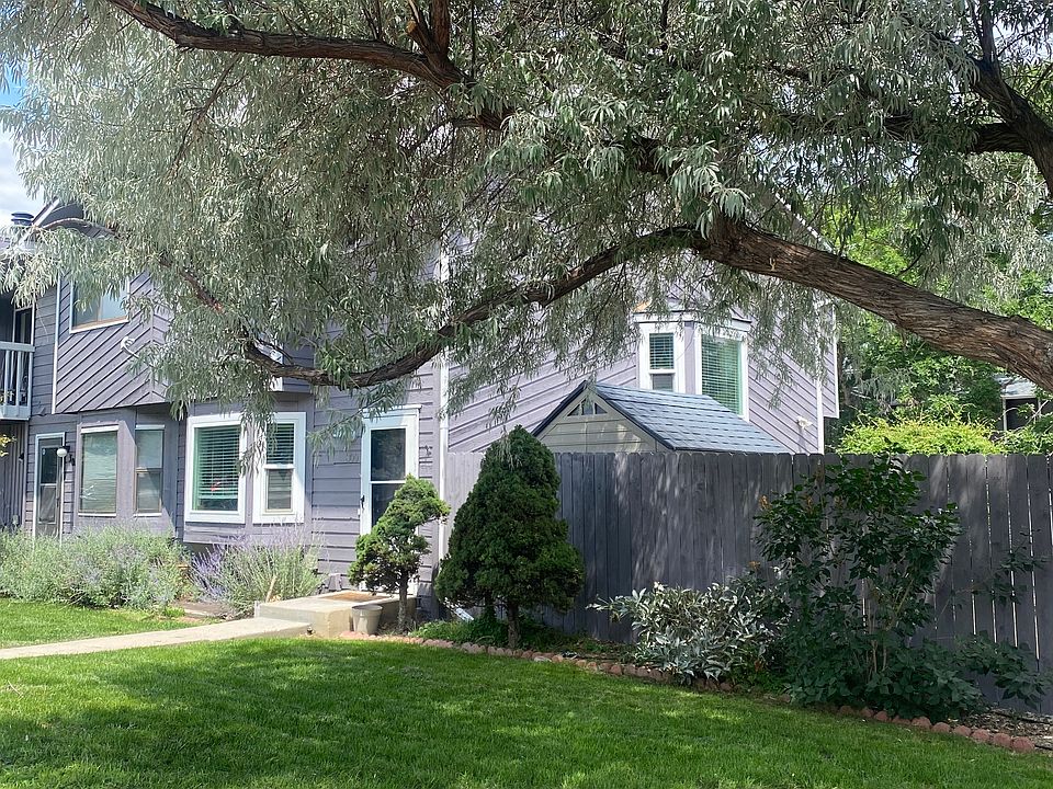 front yard with a shady tree