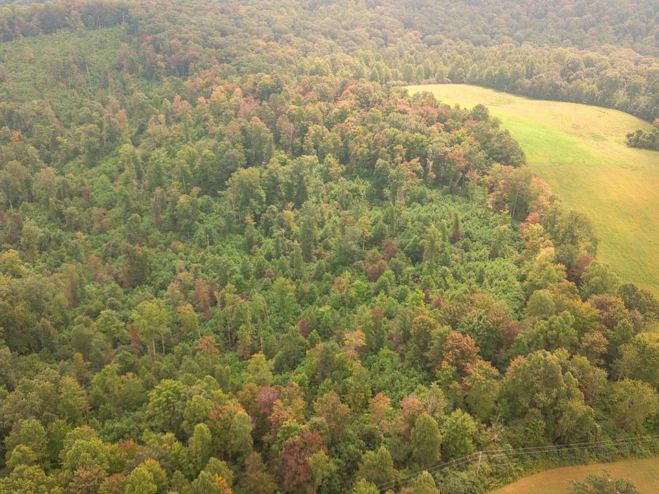 0 Oppy Hill Rd, Otway, OH 45657 Zillow