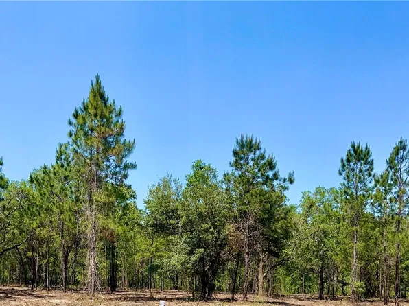 0 Walker Road, Irvington, AL 36544