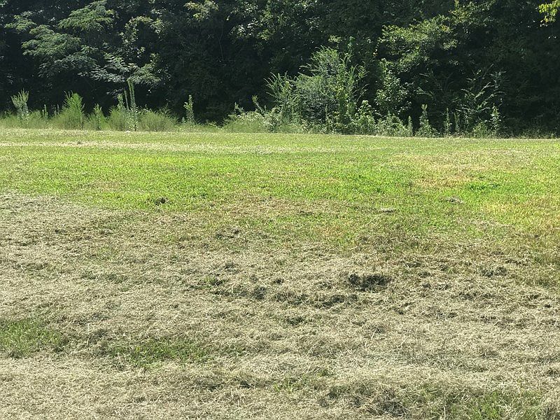 1st image of 141 Lackey Dr #100065