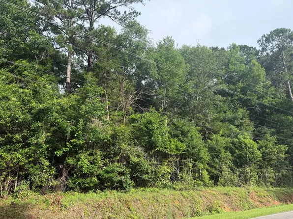 Flower Dr, Blakely, GA 39823