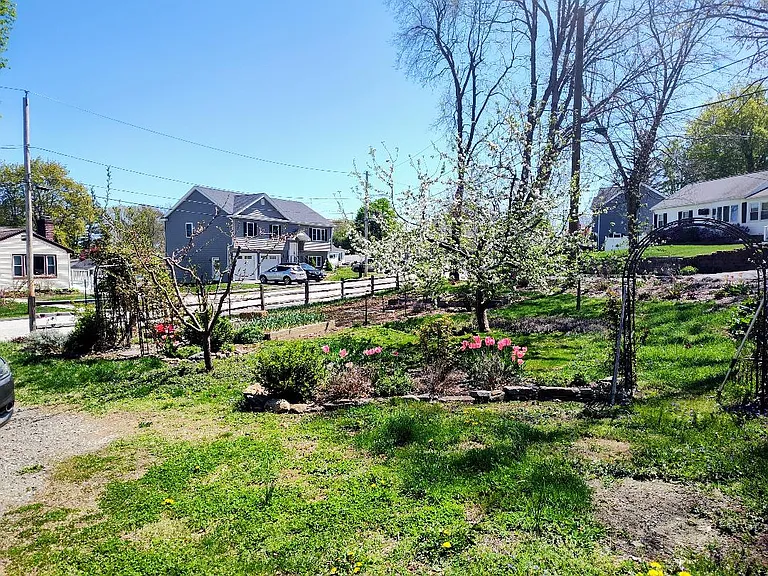 41 Carpenter Ave #1A — Photo 4
