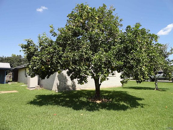 5th image of 301 Cherry Dr