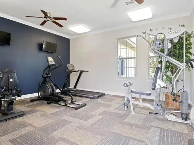 1103 Foxtail Dr — Photo 19
