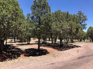 2290 Richenbacher Cir, Overgaard, AZ 85933