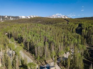 125 Rocky Rd #353, Telluride, CO 81435